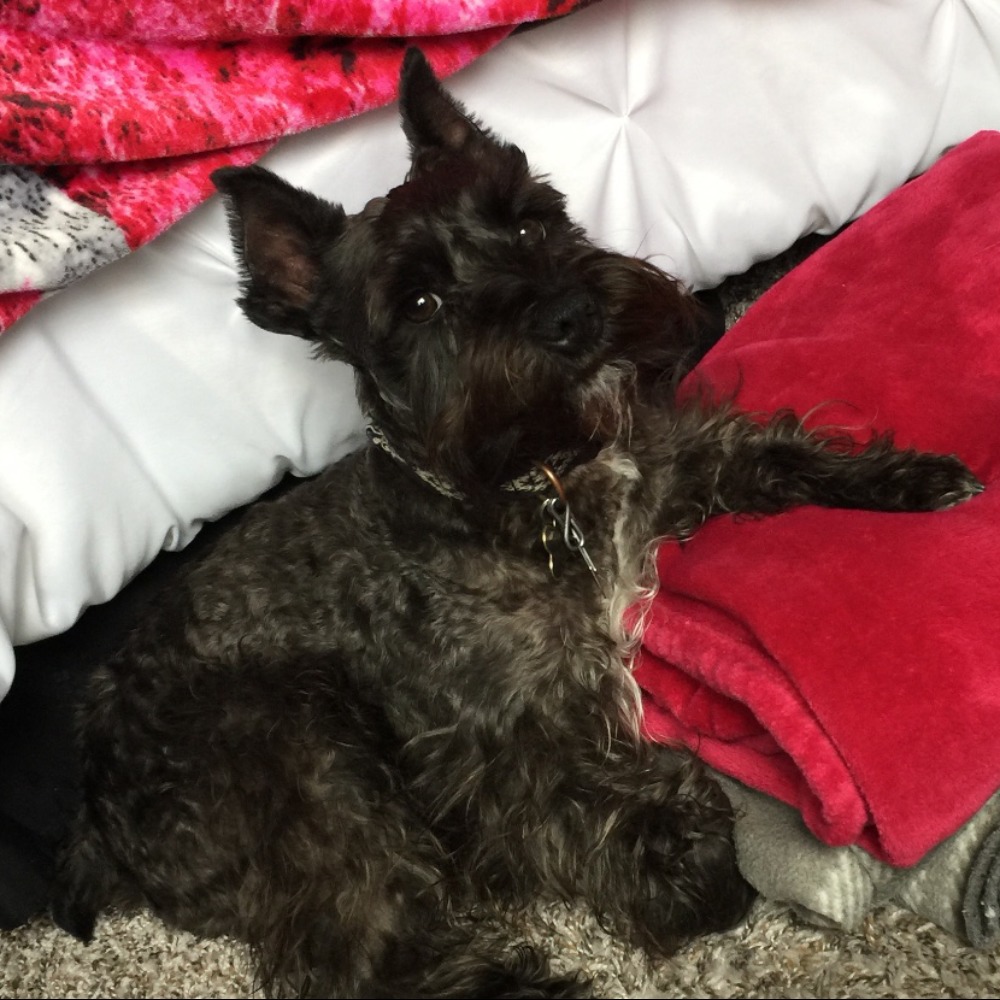 Meet your Posher, Erin